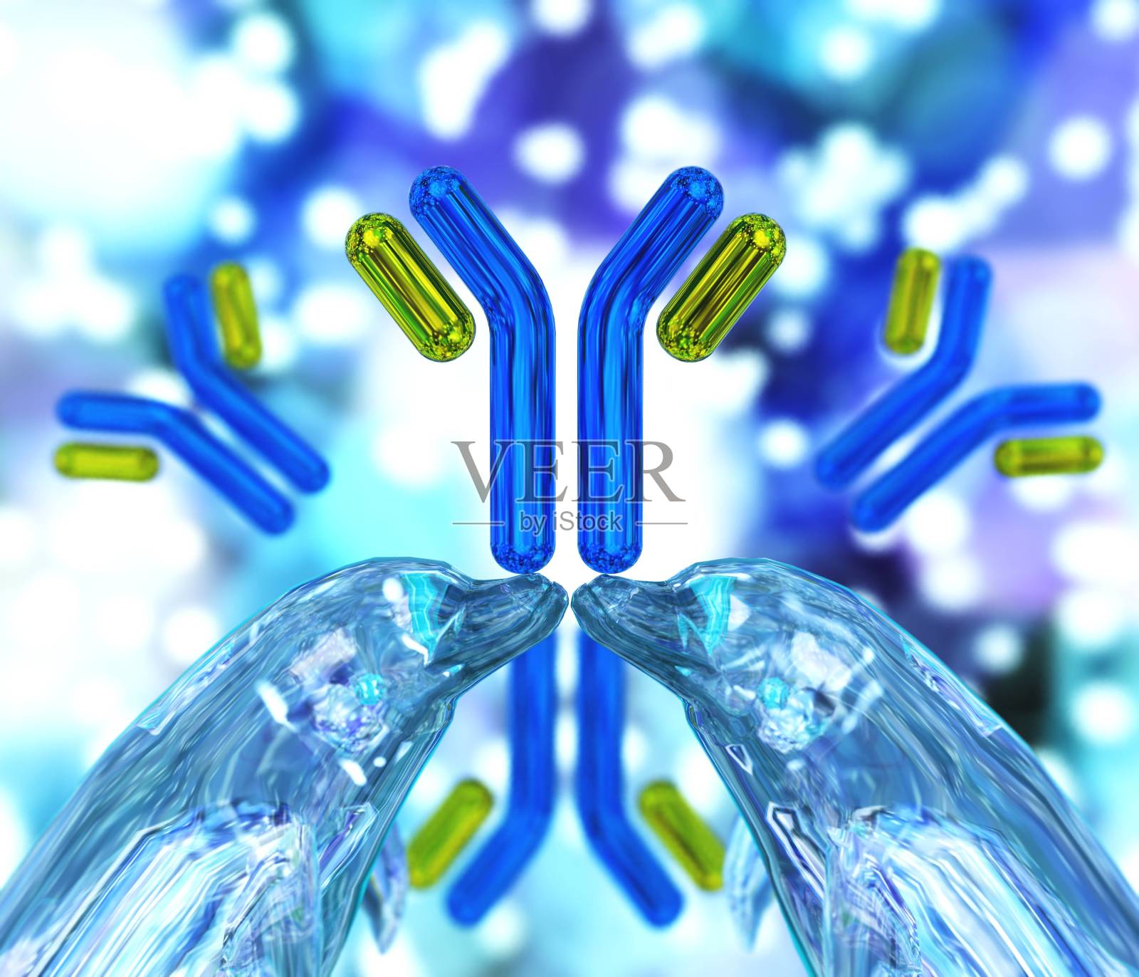 抗体,免疫球蛋白,免疫系统照片摄影图片