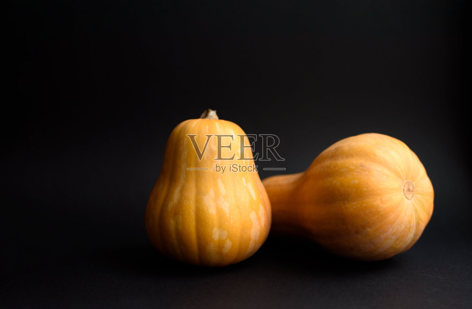 黑色背景上的两个南瓜。照片摄影图片