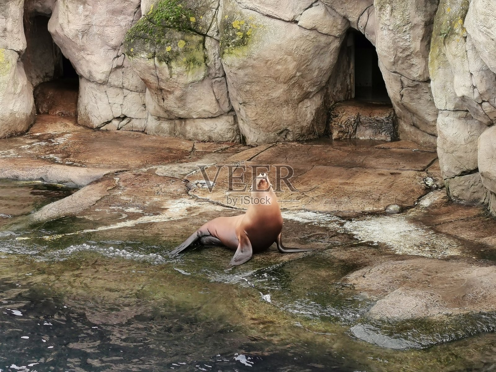 海底世界照片摄影图片