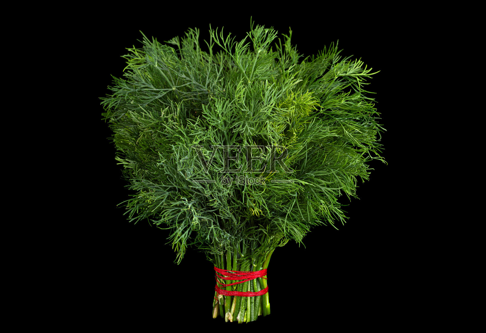 黑色的莳萝草本植物照片摄影图片