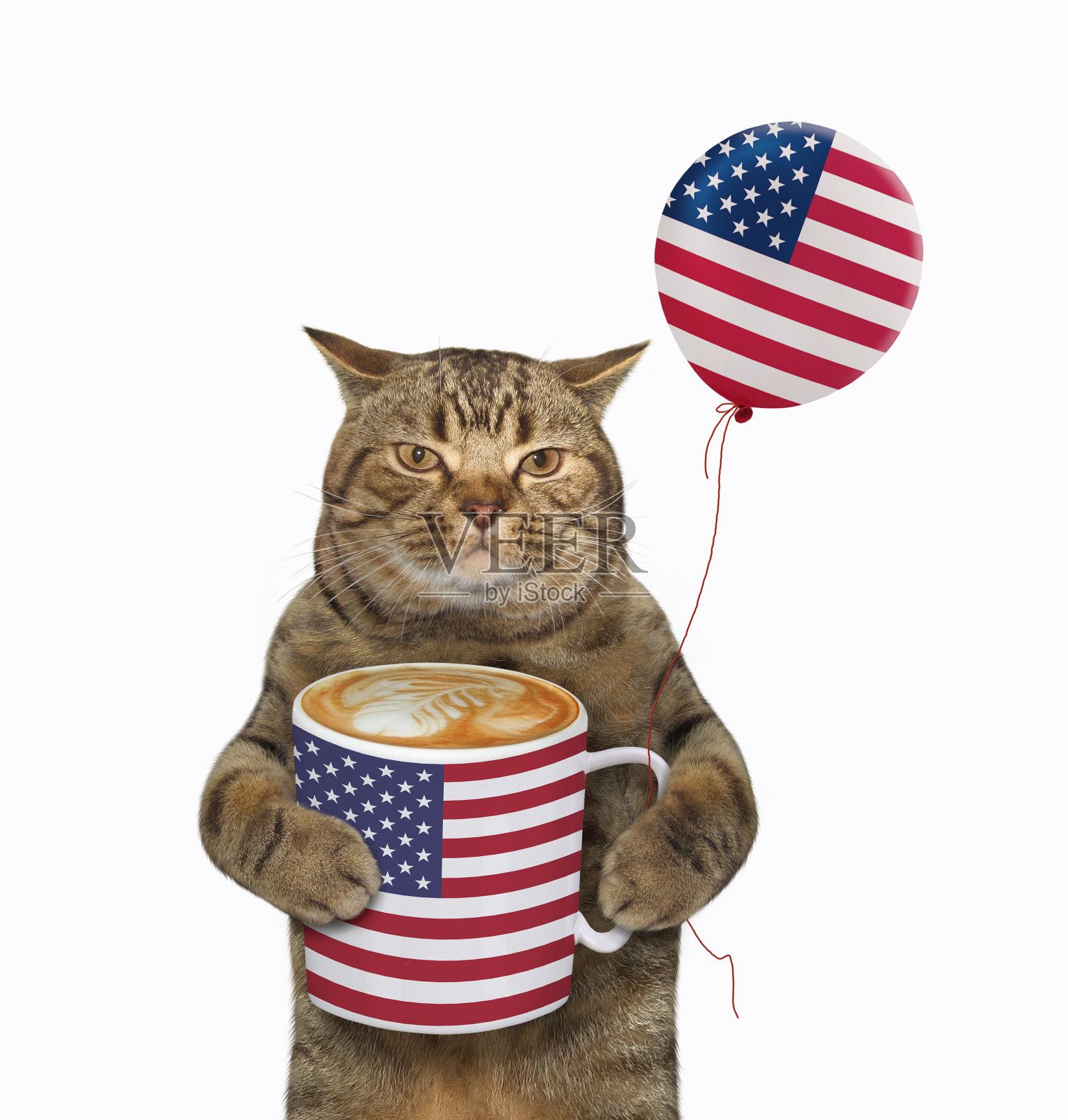 猫与美国国旗杯咖啡照片摄影图片