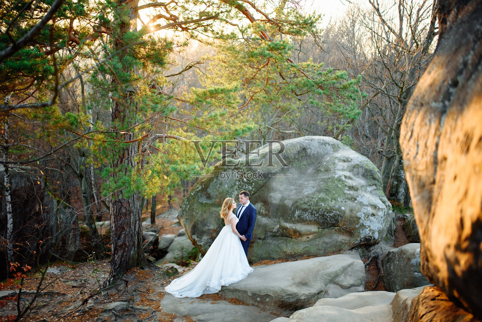 新娘和新郎在岩石的背景上拥抱。照片摄影图片