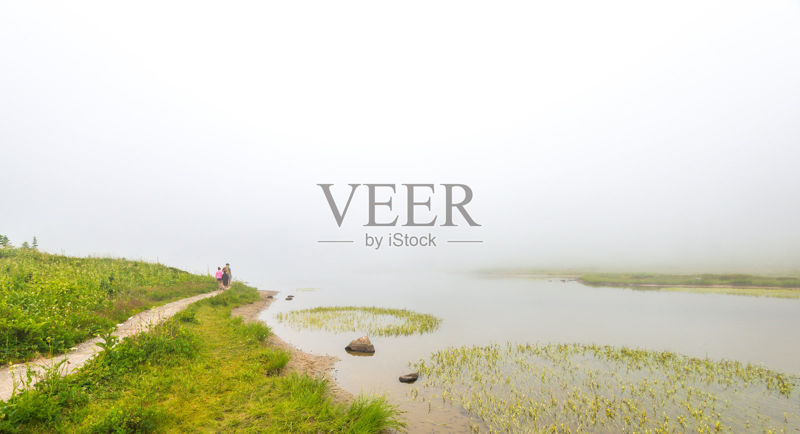 人们,一家人走在小路上,风景小径在森林,草地和湖泊与雾的一天。照片摄影图片