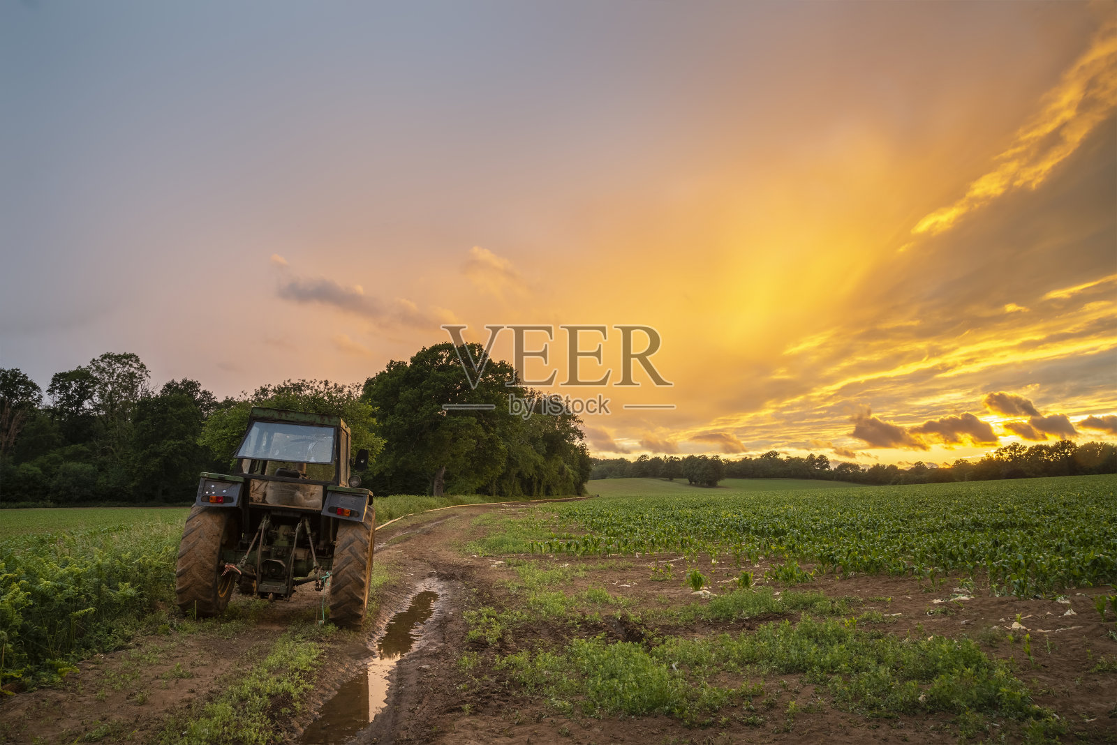 废弃的旧拖拉机在田野景观期间戏剧性的苏美尔日落在英国农村照片摄影图片