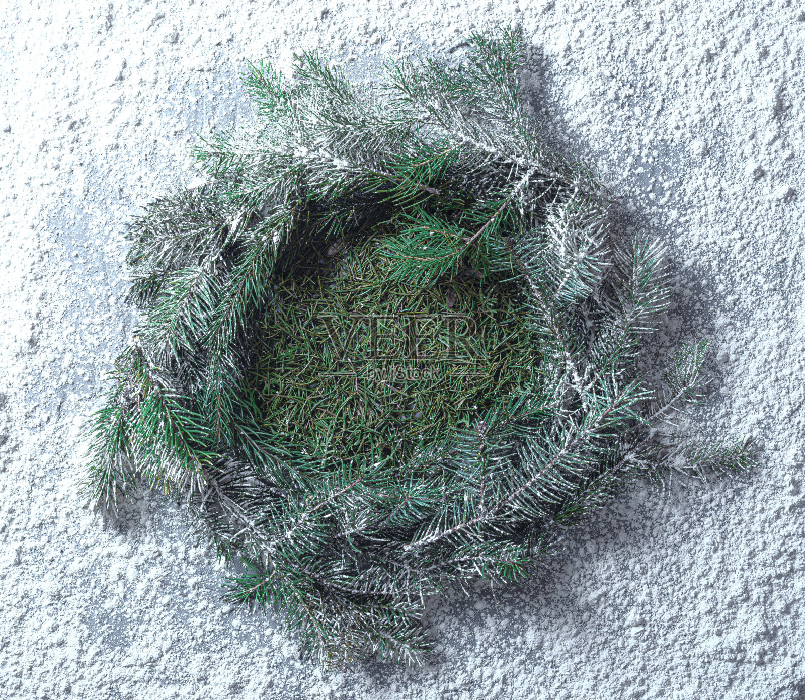 圣诞树的树枝和缀有雪的针呈巢状。圣诞节,新年和寒假的概念照片。照片摄影图片