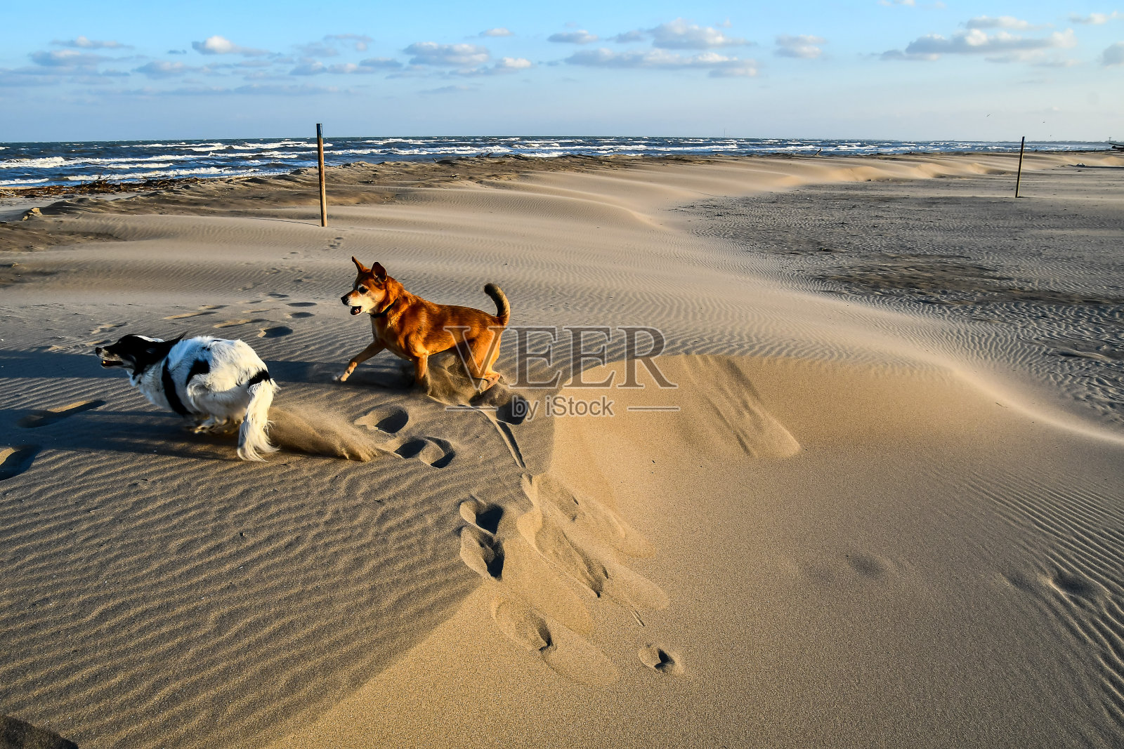 沙滩上的女人,数码照片作为背景照片摄影图片