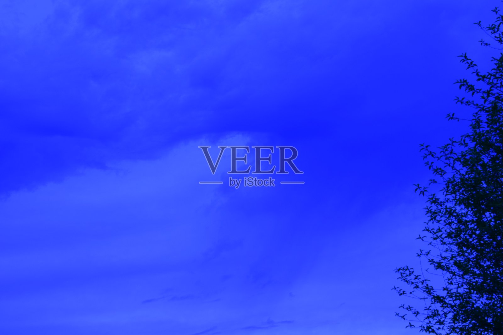 戏剧性的云在日出对剪影的树照片摄影图片