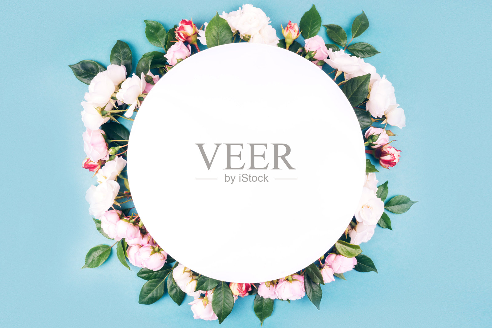 花组成平铺。照片摄影图片