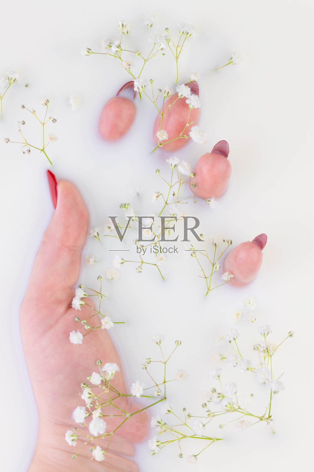 在牛奶浴中,女性手持一朵白花。照片摄影图片