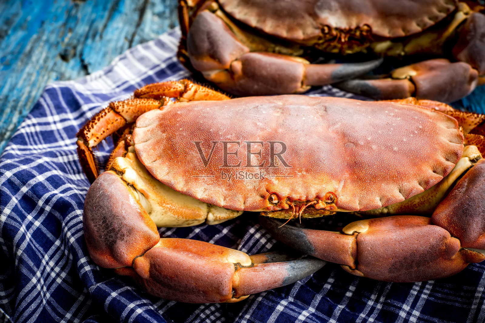 在质朴的蓝色木桌上,水手格子桌布上放着煮熟的大蟹(巨蟹座)海牛照片摄影图片