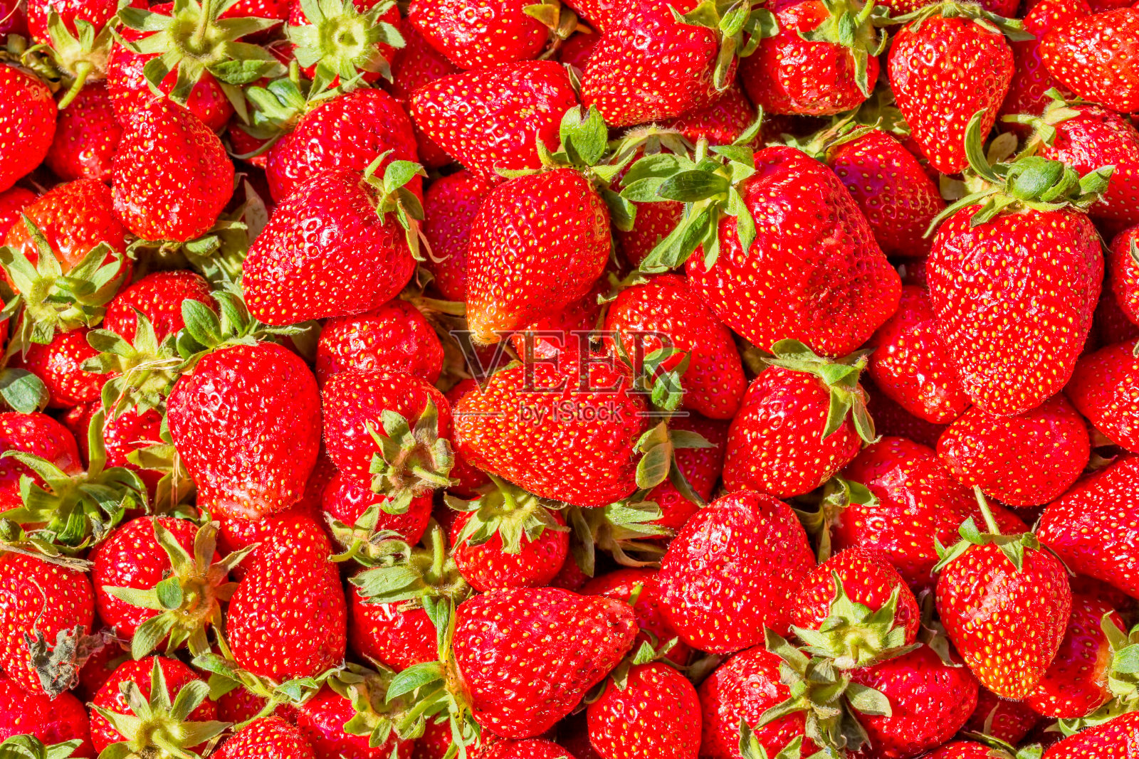 草莓。红色成熟的有机浆果,特写。水果的背景照片摄影图片