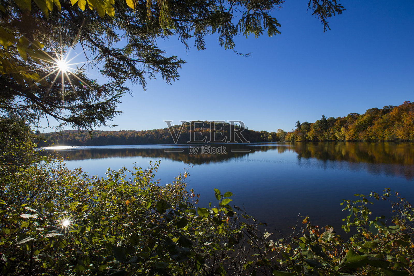 圣布鲁诺山国家公园的秋天照片摄影图片