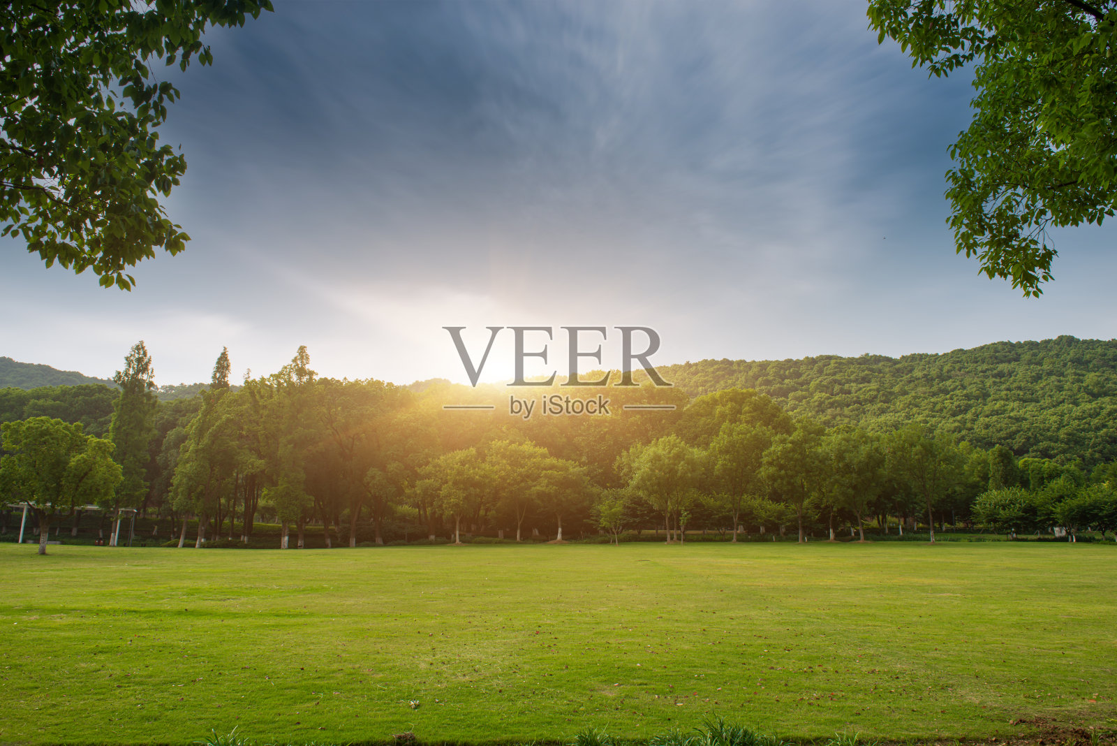 公园草地和茂密的树林下的晴朗的天空在春天照片摄影图片