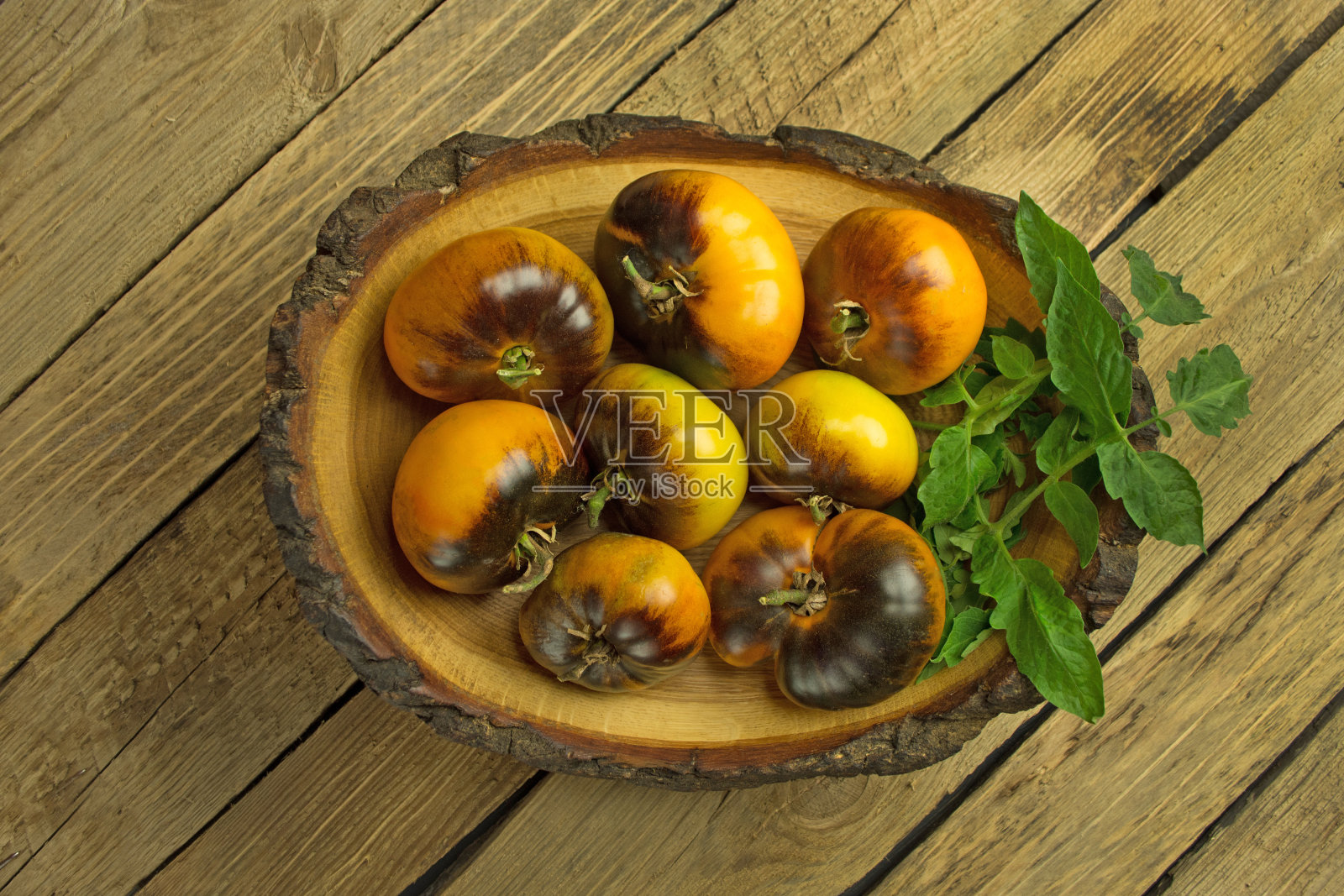 自产黄色番茄蓝金色收获。生的黄色西红柿可以吃了。照片摄影图片