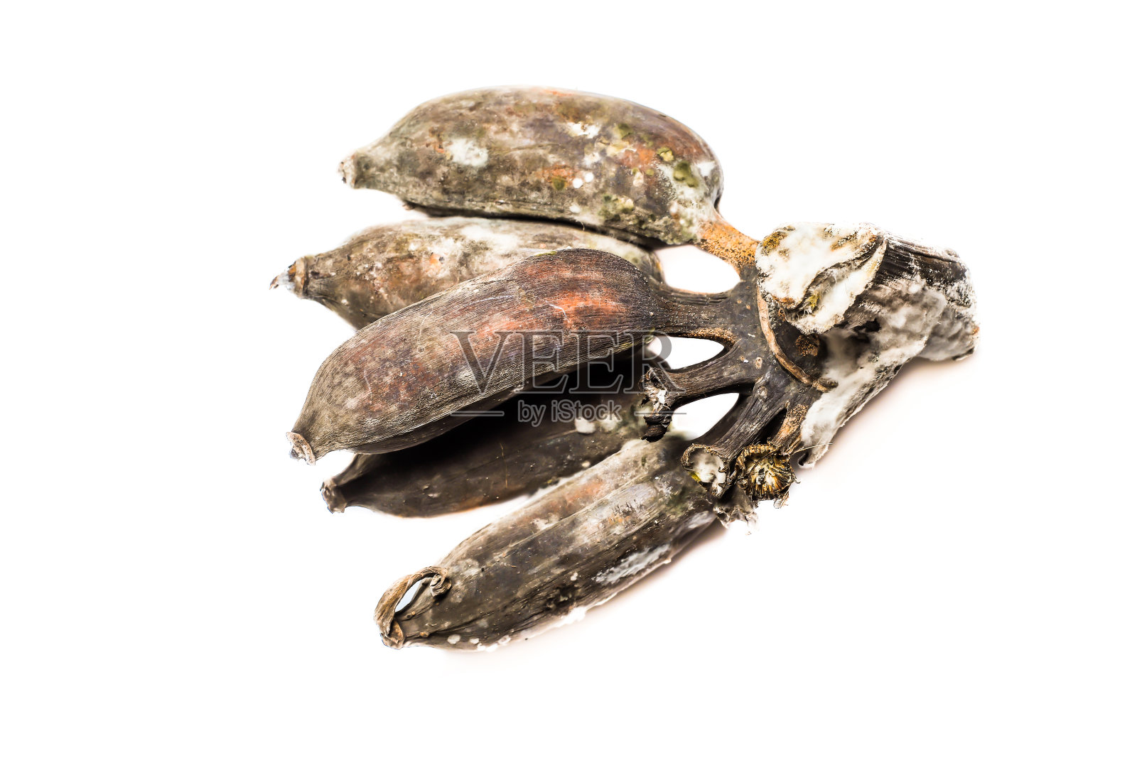 真菌在腐烂的香蕉上直到变黑,孤立在白色背景上,选定焦点,宏观。照片摄影图片