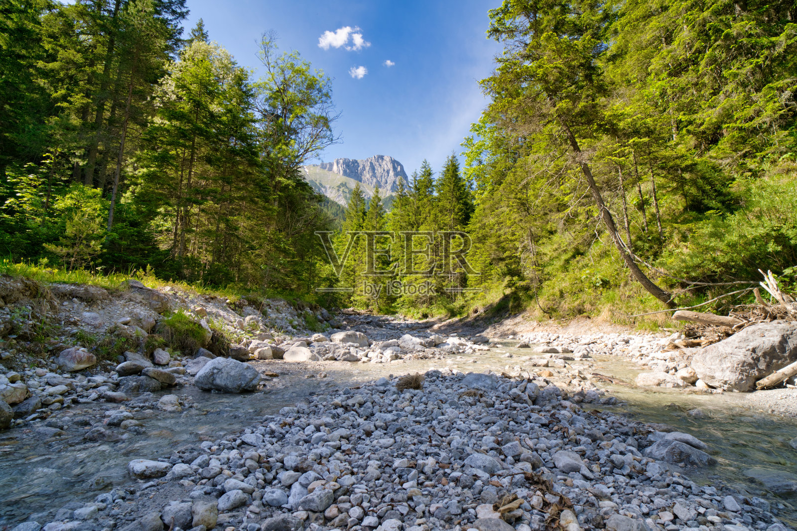费尔茨照片摄影图片