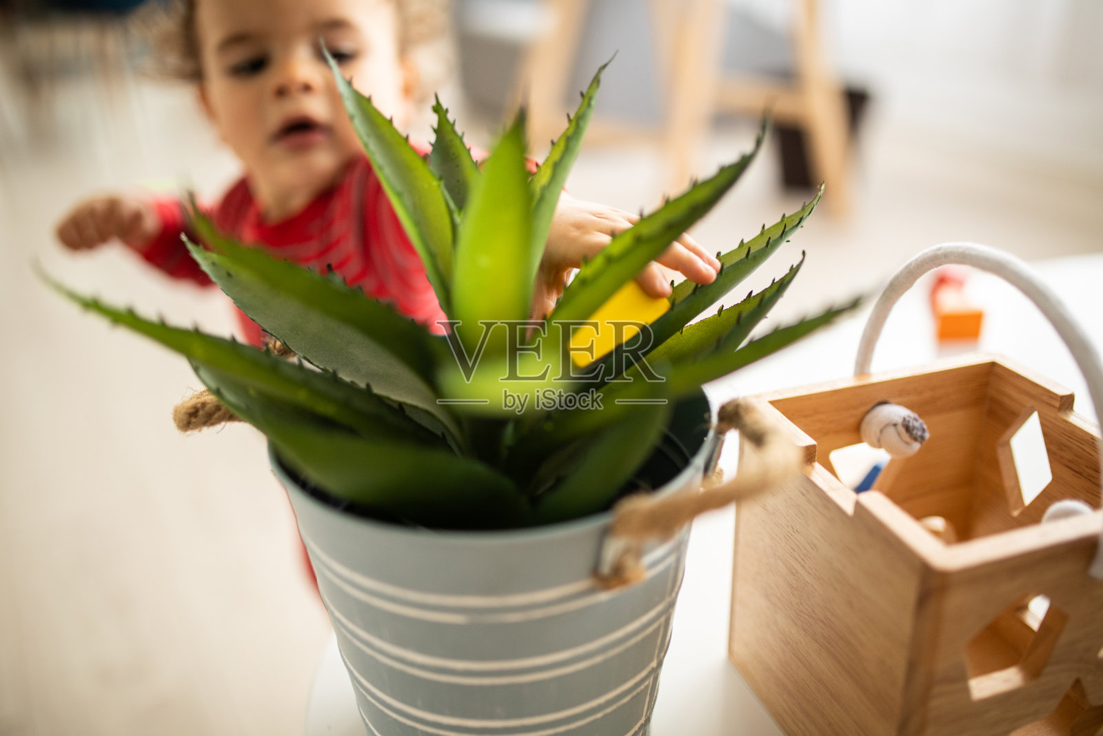 小恶作剧照片摄影图片