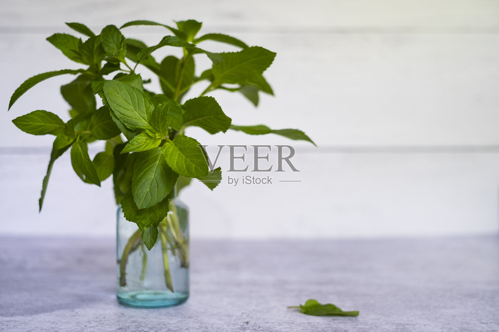 巧克力薄荷小枝照片摄影图片