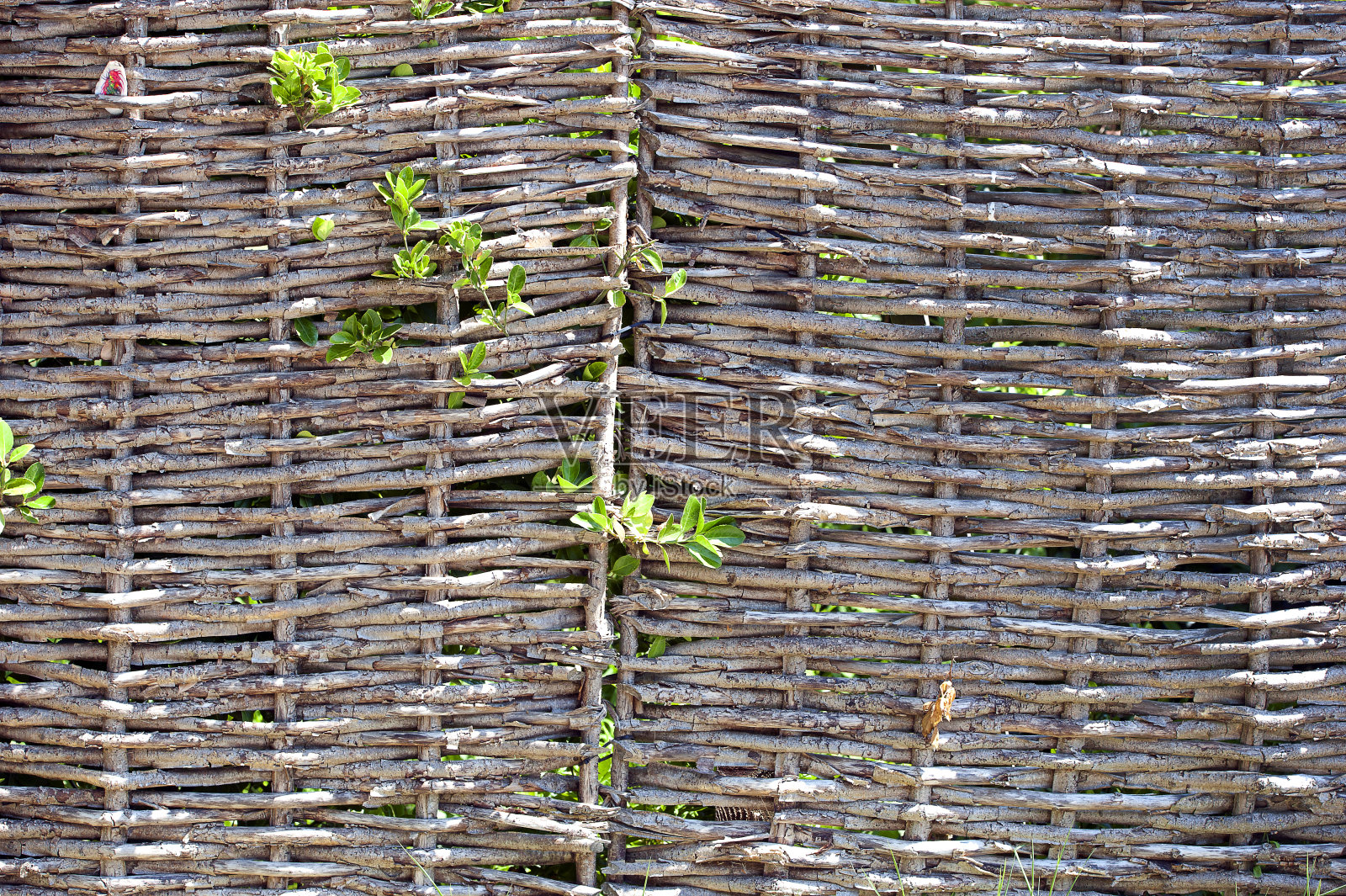 柳条编织木栅栏,奥斯明顿米尔斯,林斯蒂德湾,侏罗纪海岸,多塞特,英国照片摄影图片