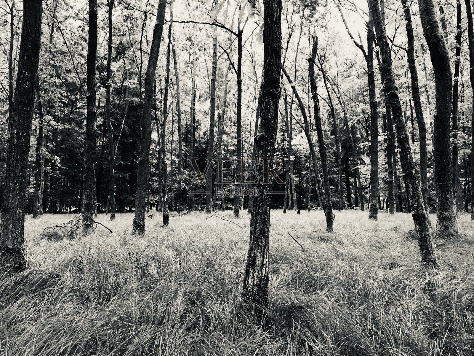 未来是你们的!照片摄影图片