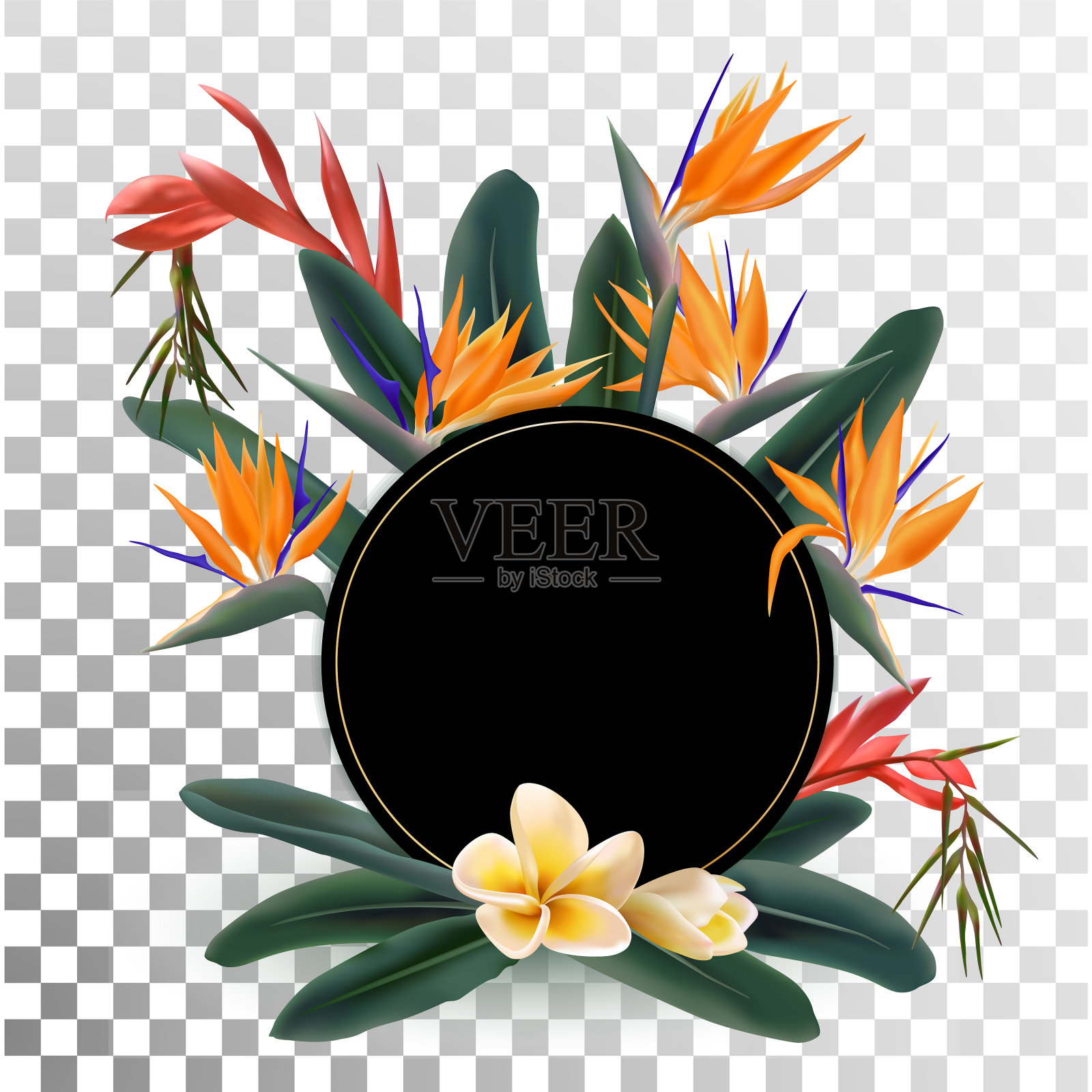 热带花卉花束圆框插画图片素材