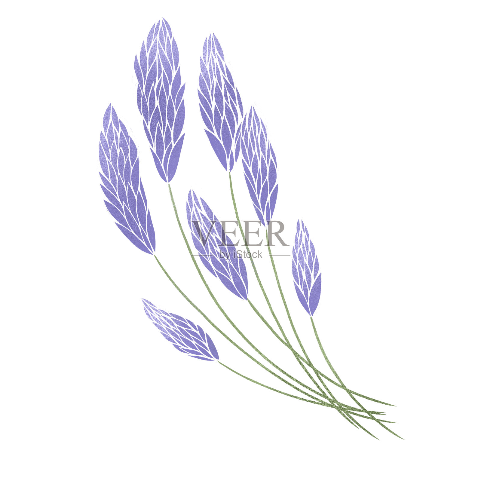 白色背景上的紫罗兰花束。插画图片素材