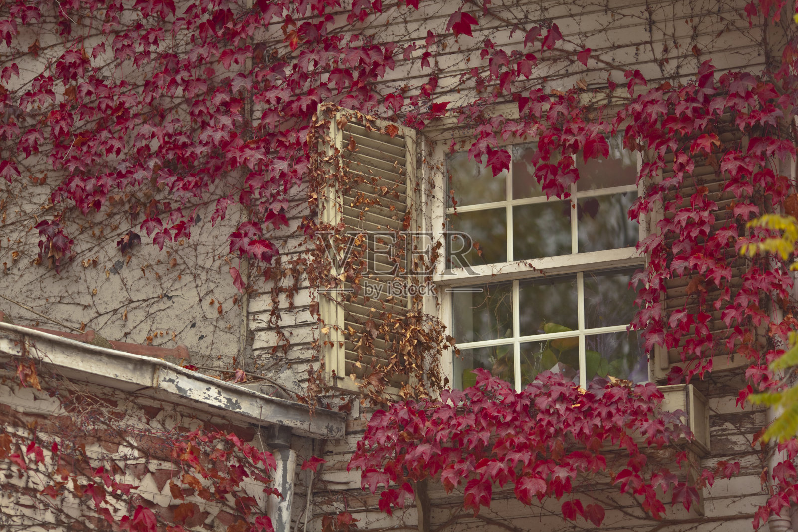 秋天色彩斑斓照片摄影图片