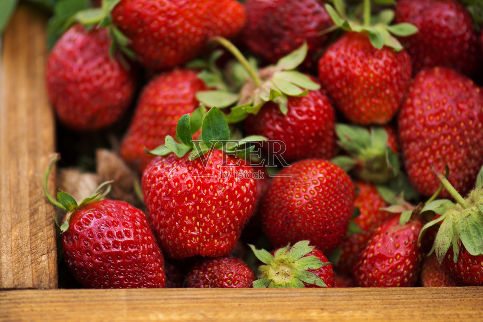 当地农贸市场上成熟的红草莓照片摄影图片