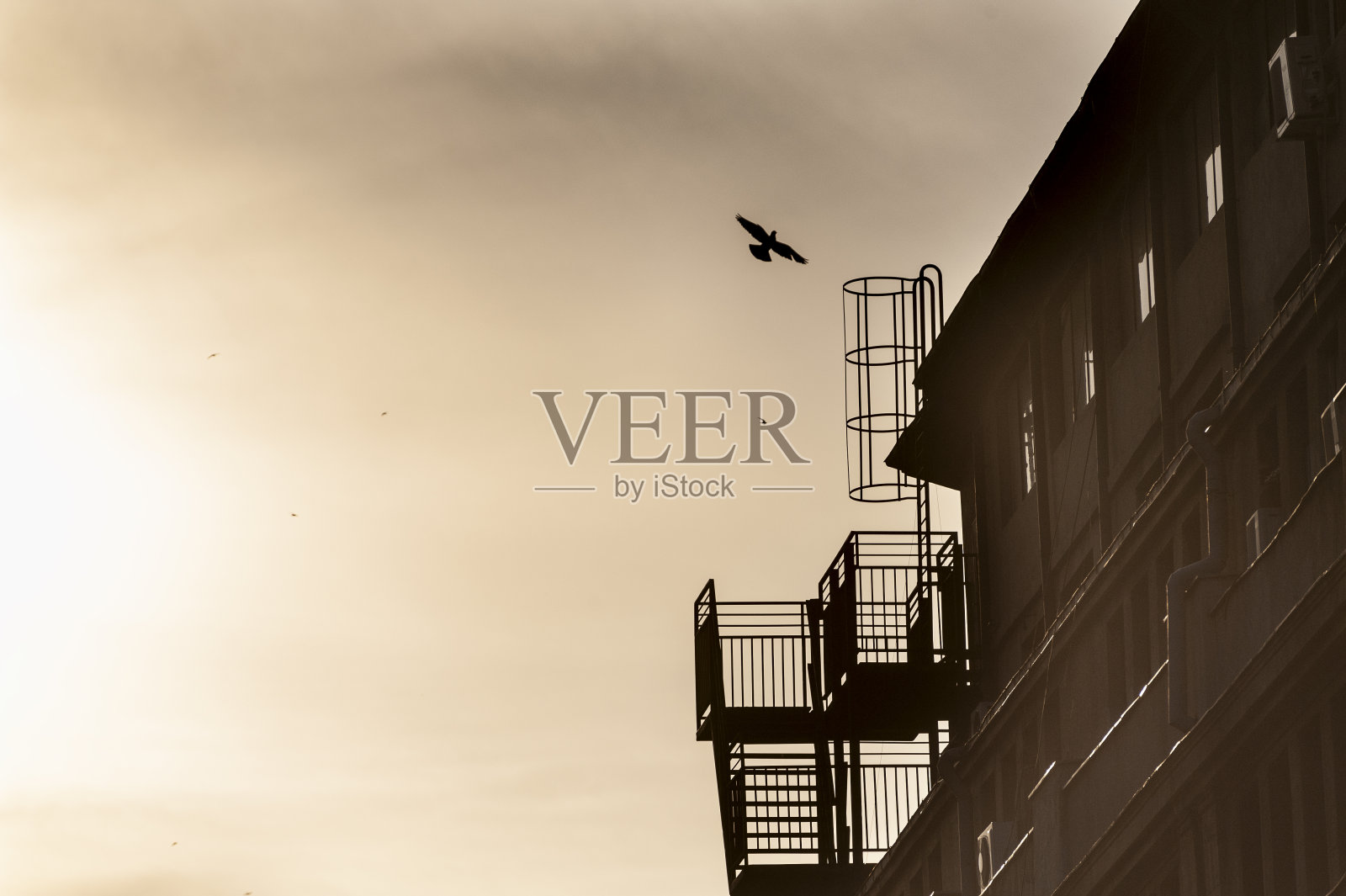 的飞行照片摄影图片