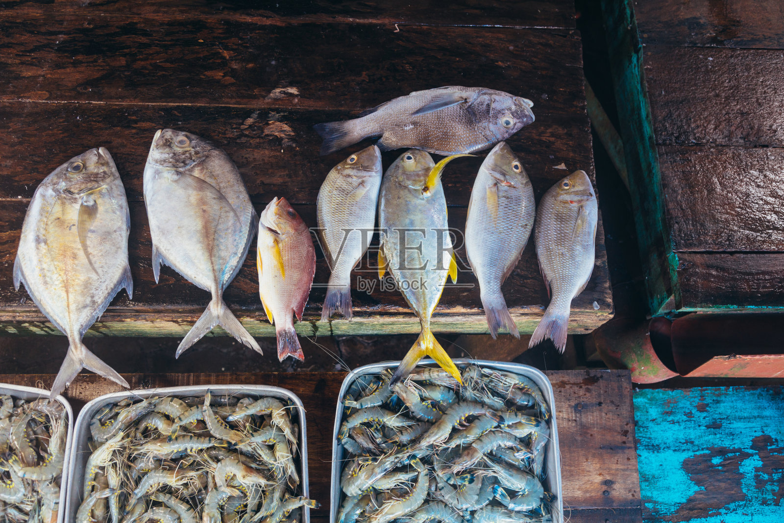 交易柜台与海鲜产品。斯里兰卡的鱼市。照片摄影图片