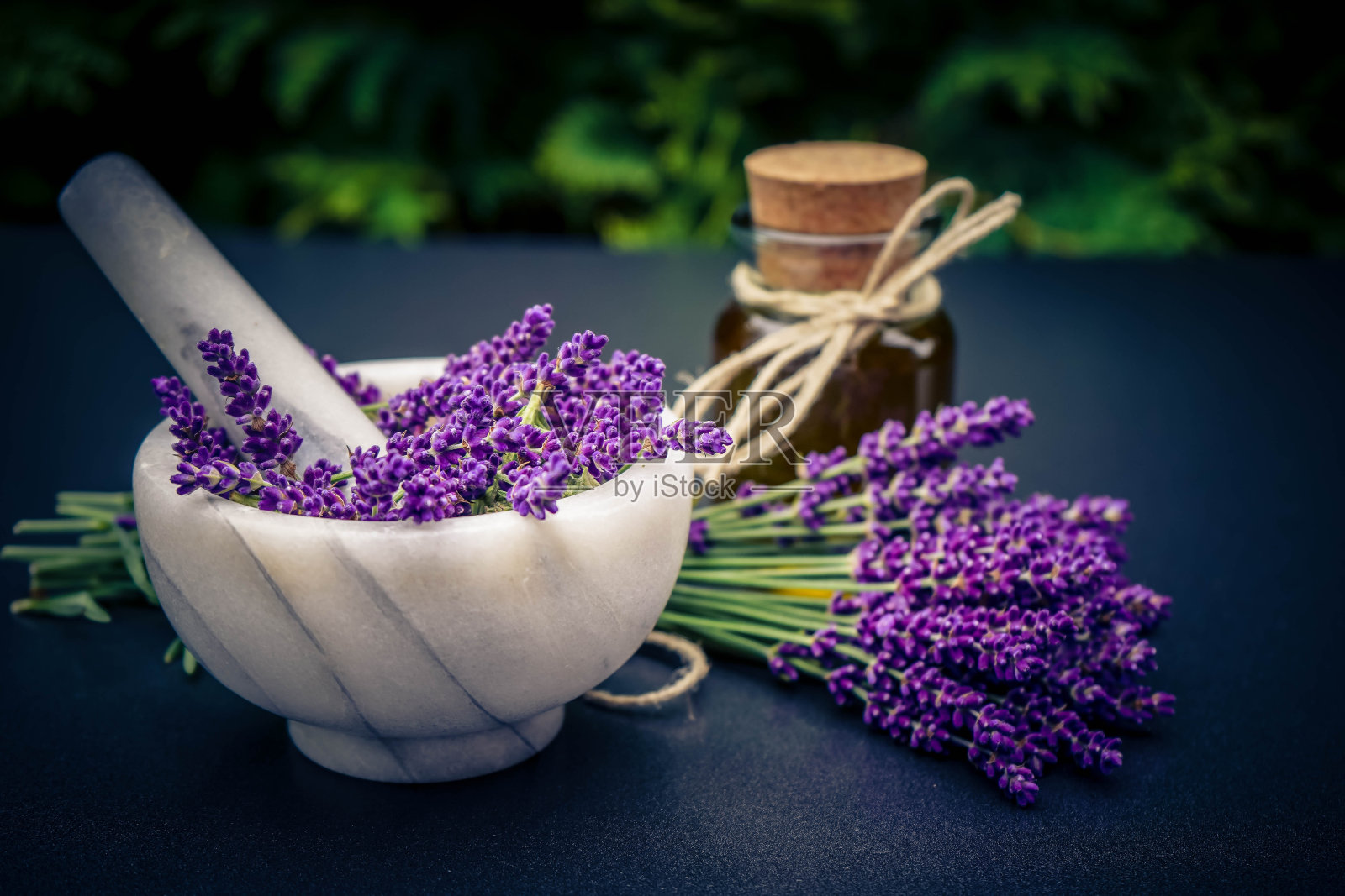 薰衣草照片摄影图片