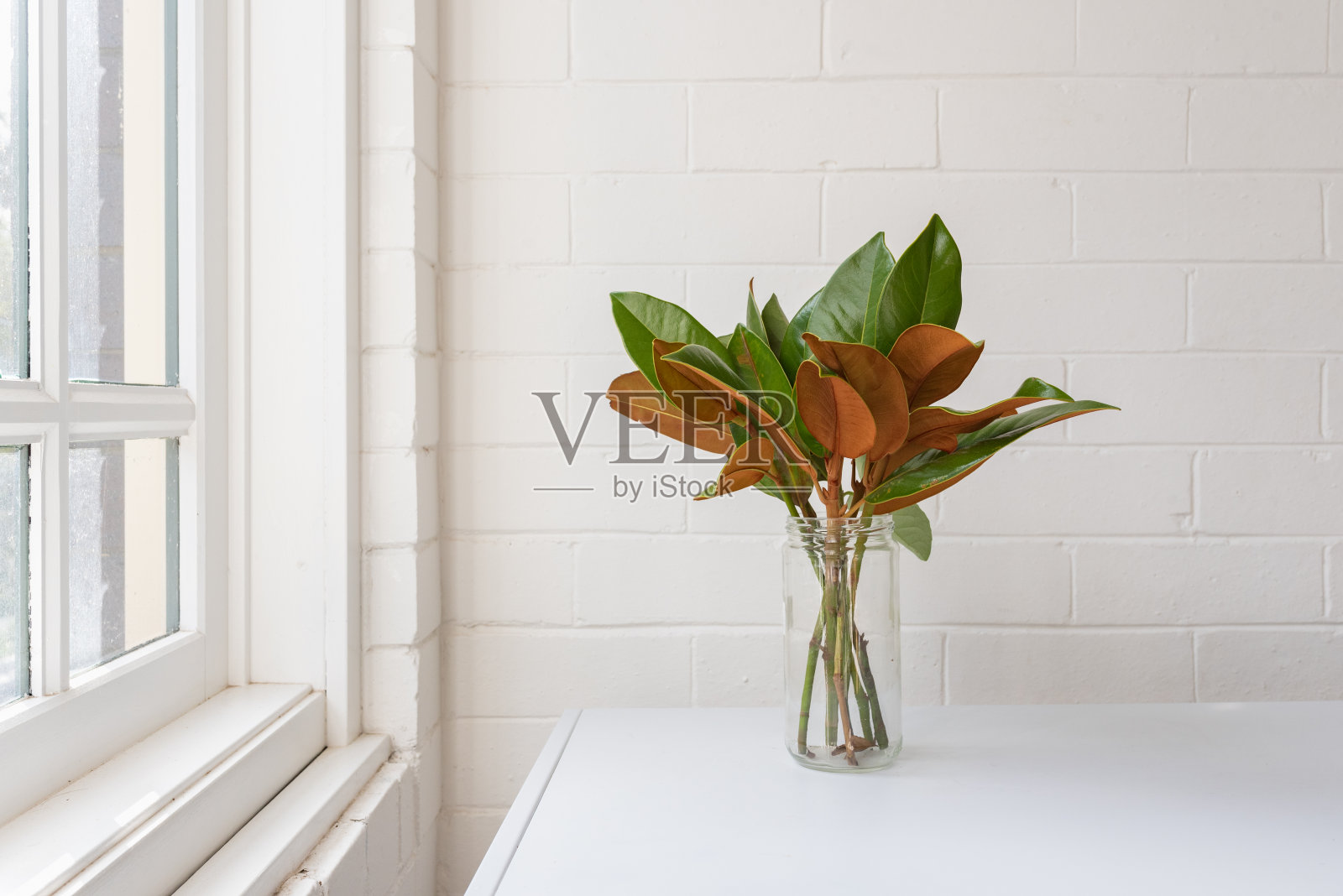 靠窗的白色桌子上,玻璃罐里的树叶照片摄影图片