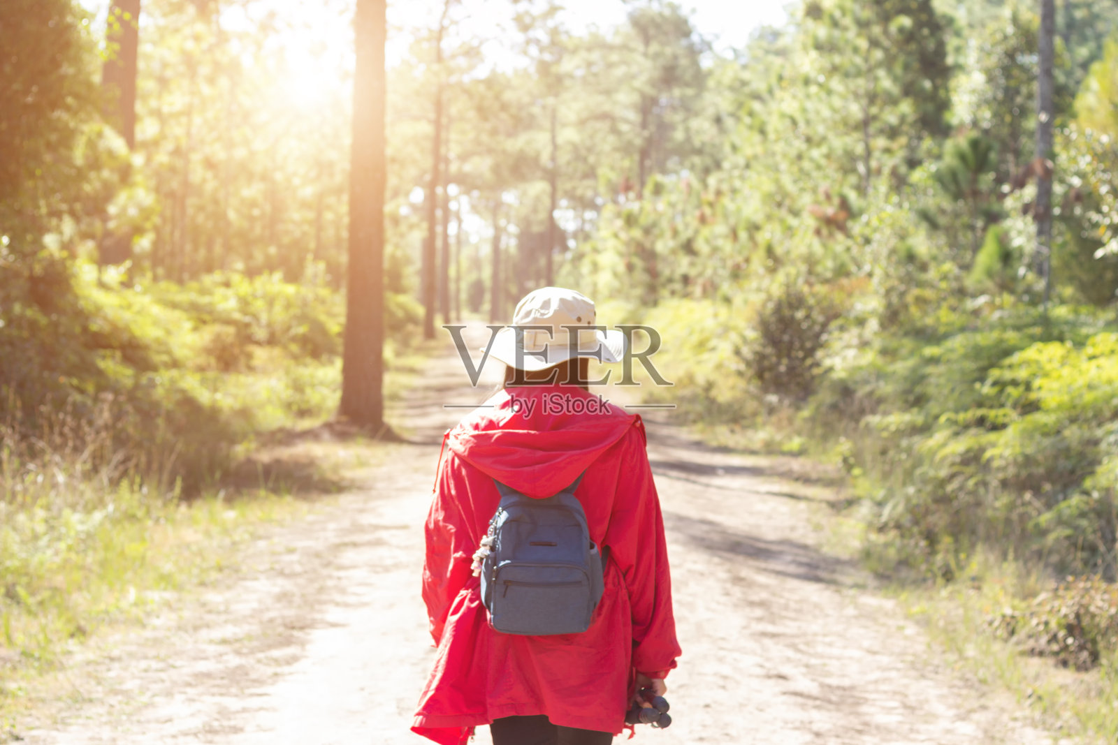 背景旅游背包,独自在树林中旅行在户外照片摄影图片