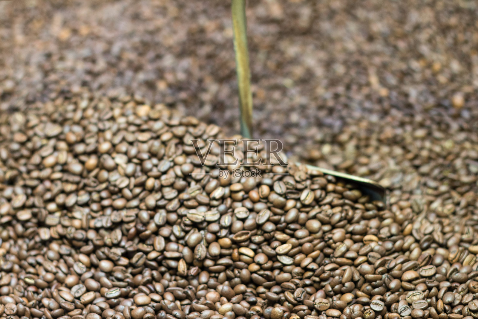 咖啡烘烤机照片摄影图片