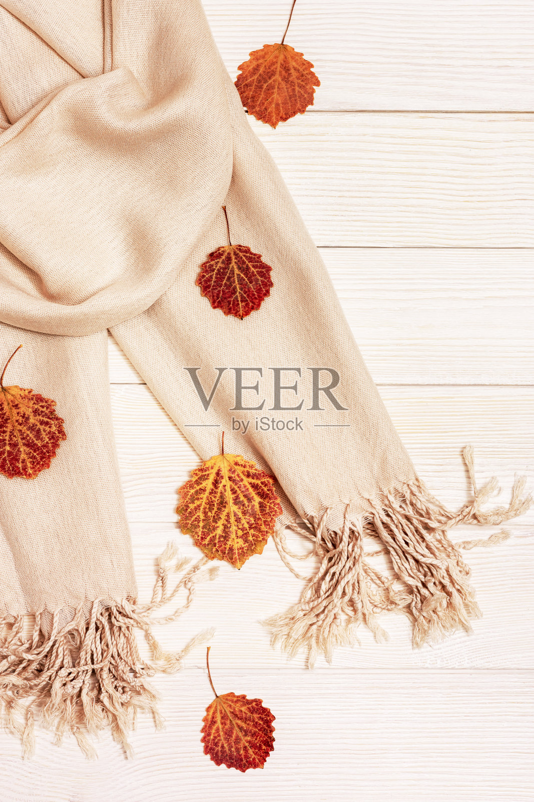 秋天的背景,白色的木材与干红的秋日白杨树叶,舒适的纺织品围巾。副本的空间。前视图。照片摄影图片