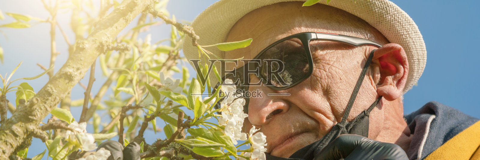 戴着太阳眼镜的老人闻到白树花的味道照片摄影图片