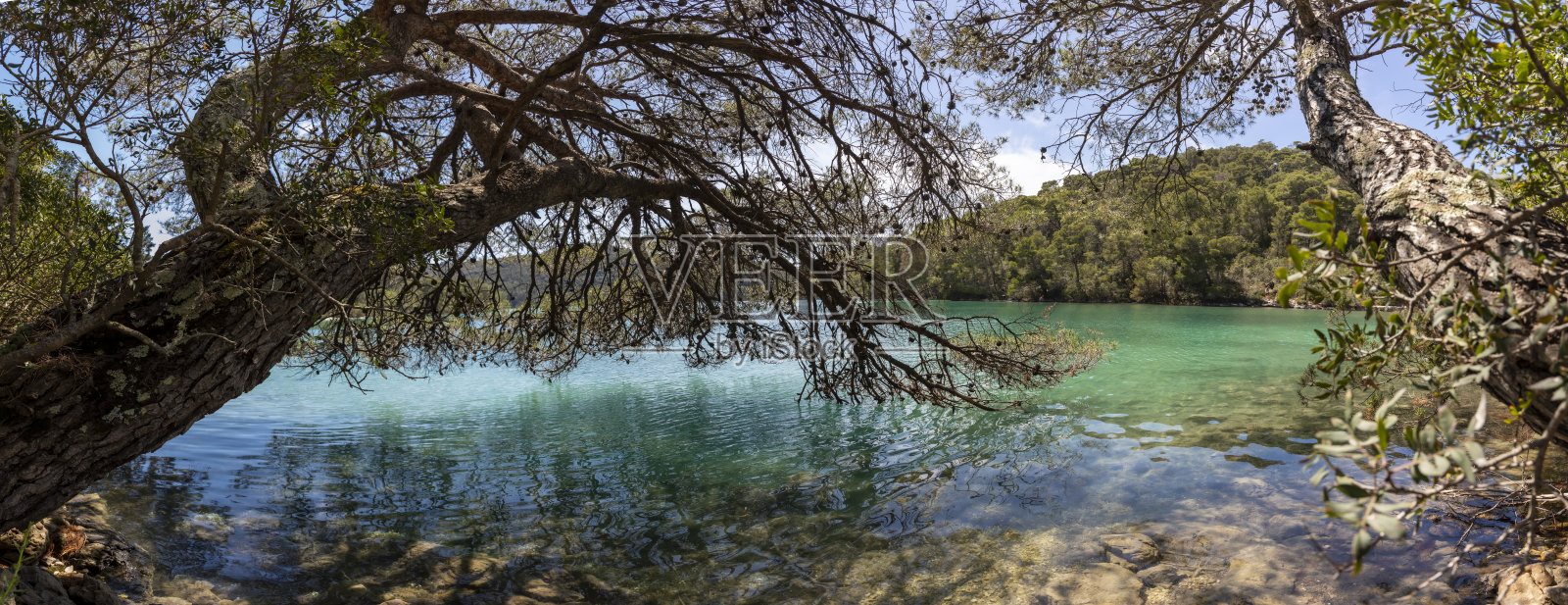 毫升喷气机,照片摄影图片