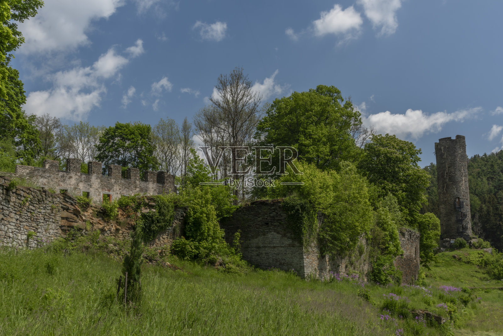 西波西米亚Podhradi村的Neuberg城堡废墟照片摄影图片
