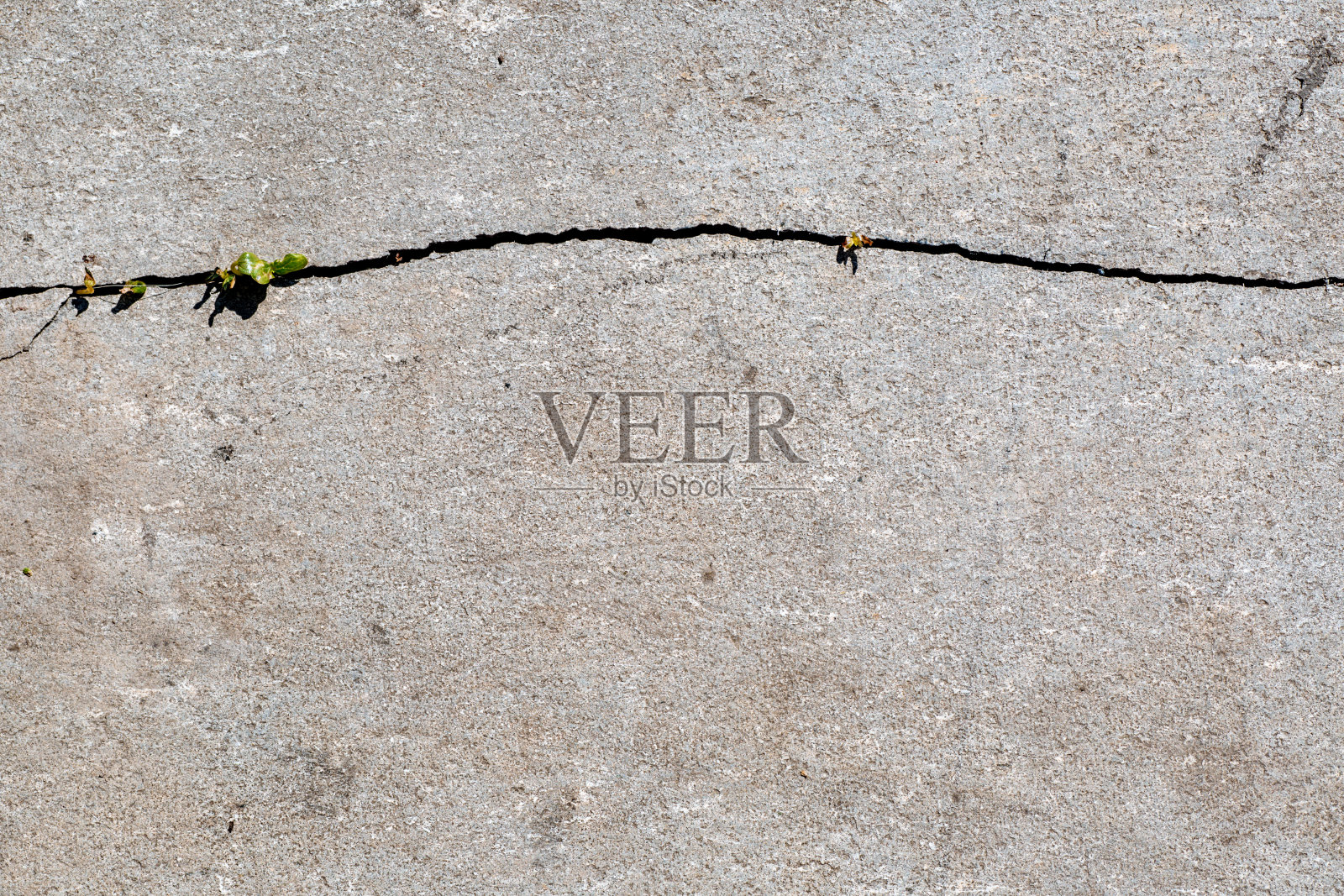 一株绿色的小植物开始从混凝土裂缝中生长照片摄影图片