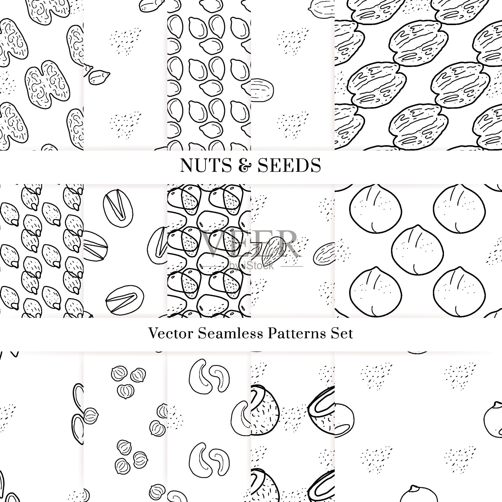 坚果和种子载体模式。草图设计插画图片素材