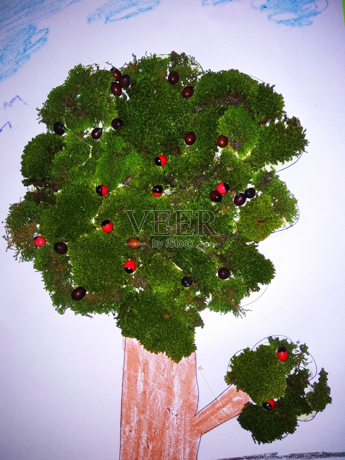 工艺树照片摄影图片