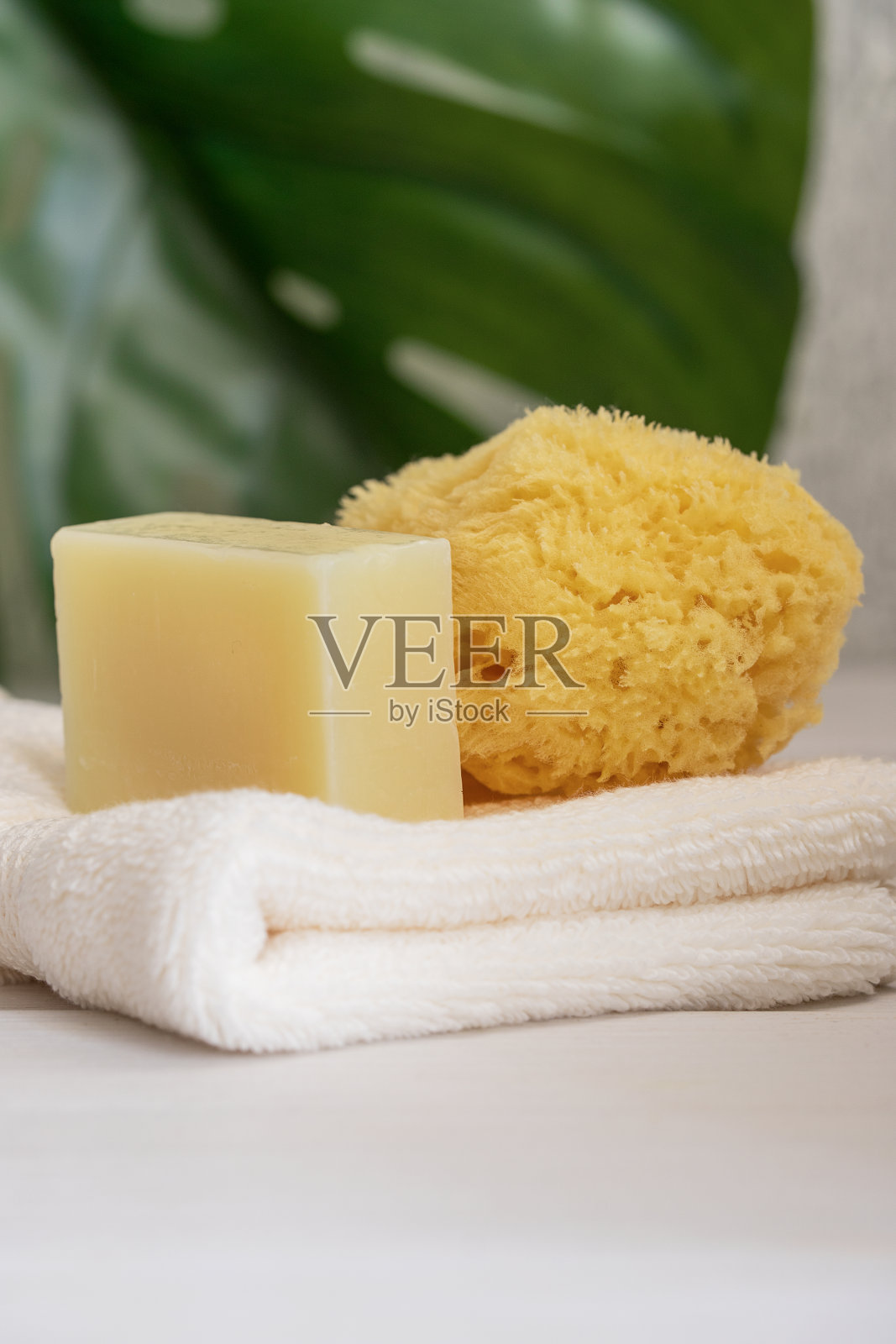 白色有机棉毛巾上的天然海绵与生态sopa条,背面是绿色的怪兽叶。生态可持续清洁和零浪费理念。照片摄影图片