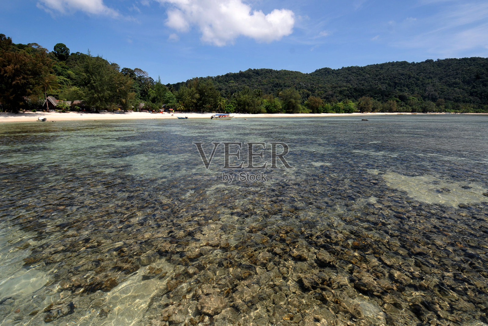 马来西亚自然场景照片摄影图片