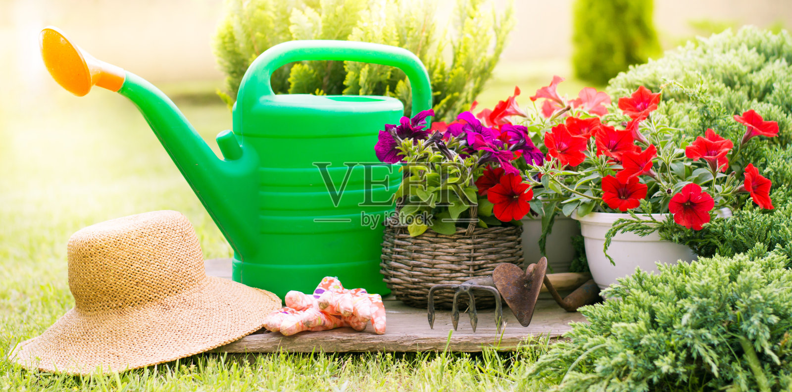 花园里的草地上放着园艺工具和草帽照片摄影图片