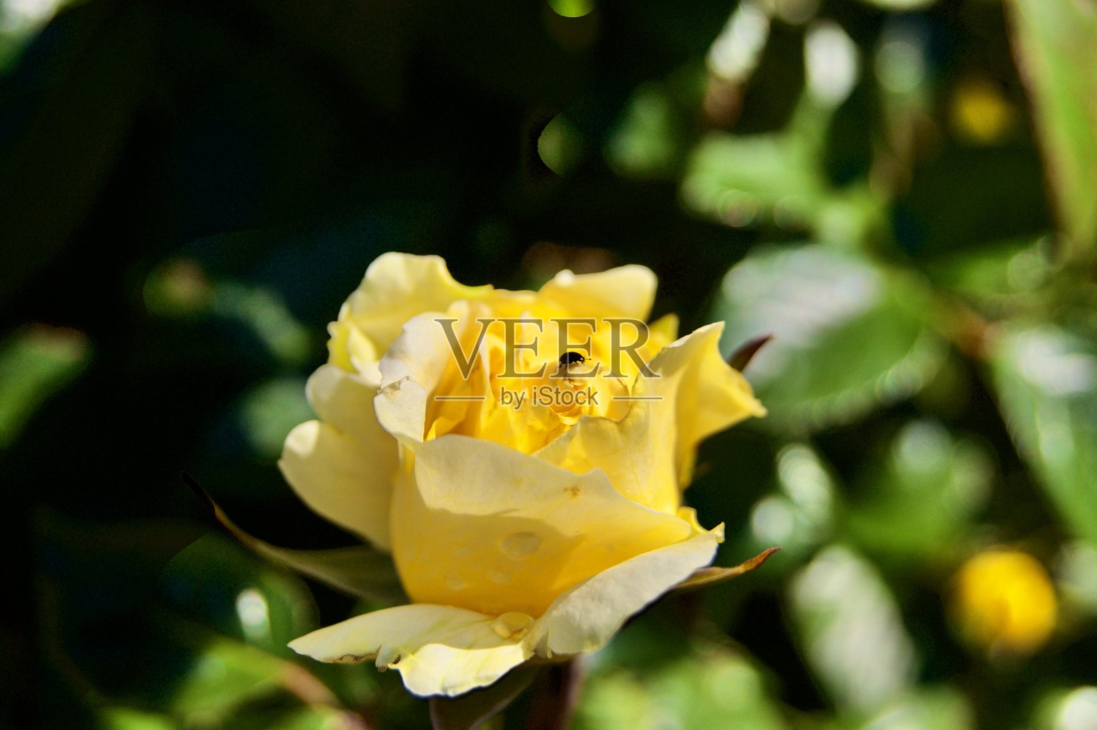 他好小啊照片摄影图片