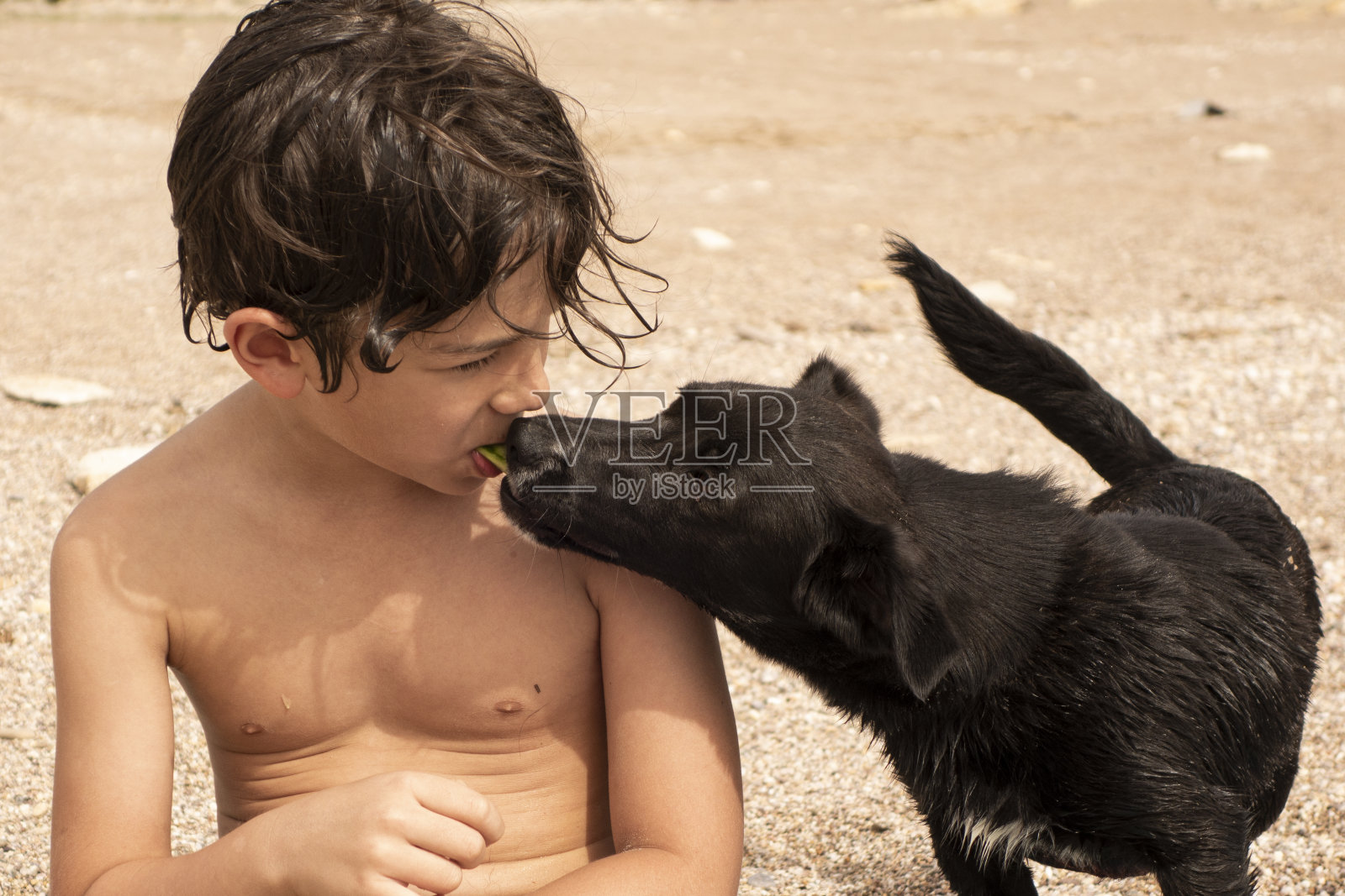 这个男孩用嘴喂他的狗。照片摄影图片