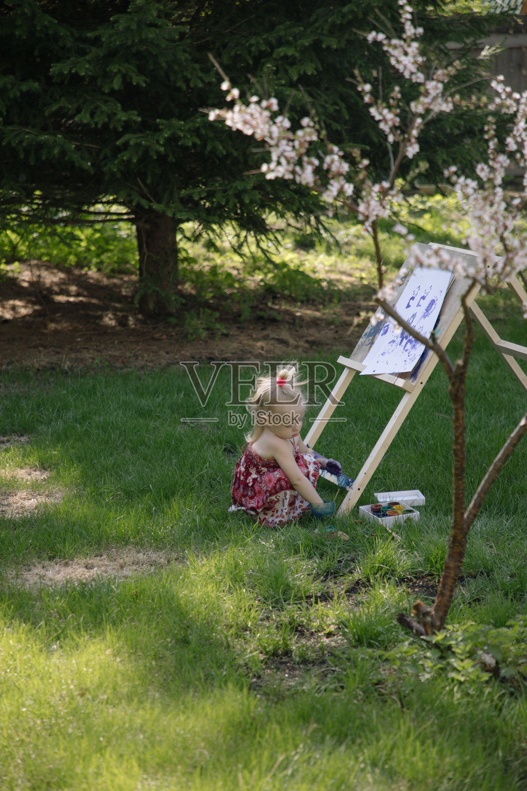 大自然中的小女孩在画架上画着盛开的樱桃照片摄影图片
