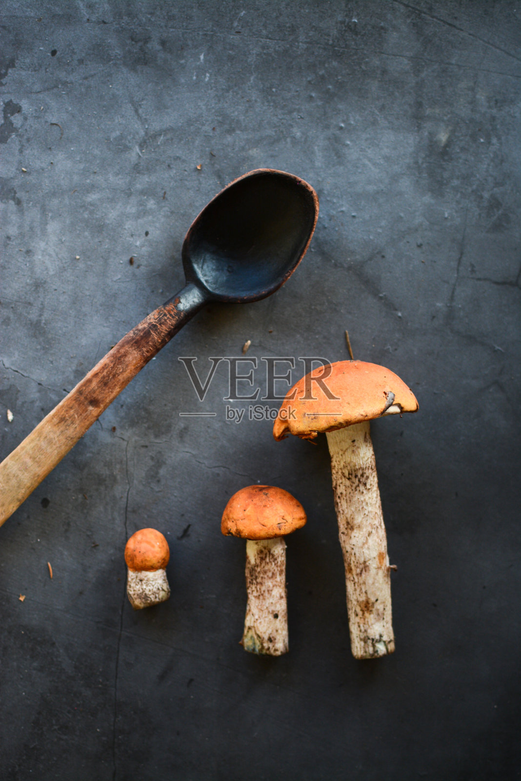 美味的生蘑菇在黑暗的背景照片摄影图片