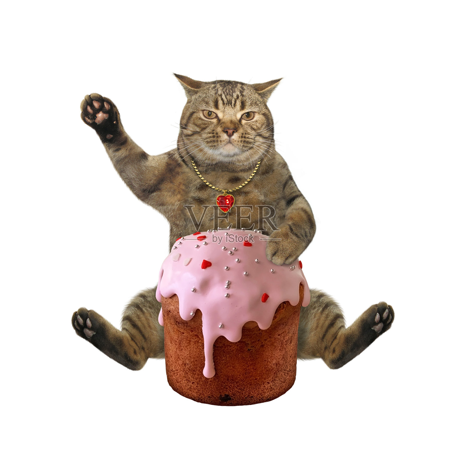 猫靠近蛋糕,上面有粉红色的釉照片摄影图片