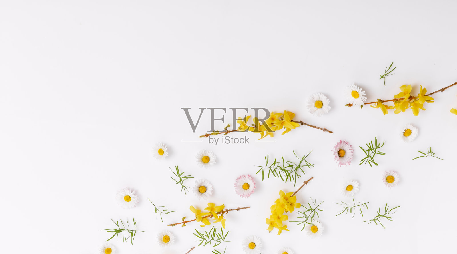 春天的小花和雏菊,插花照片摄影图片